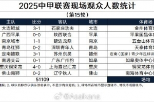 2025中甲联赛现场观众人数统计（第15轮）